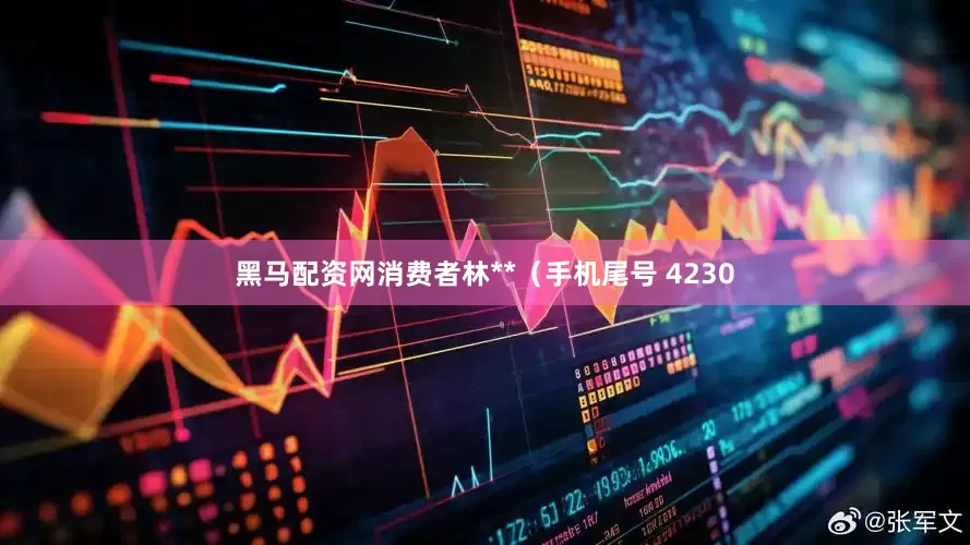 黑马配资网消费者林**（手机尾号 4230