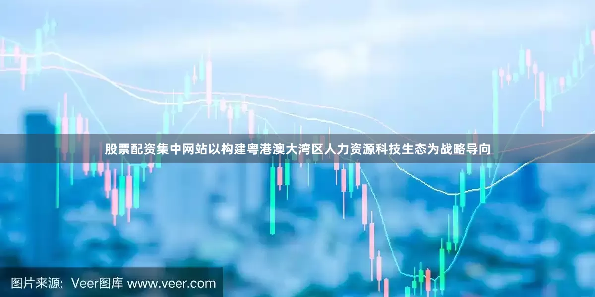 股票配资集中网站以构建粤港澳大湾区人力资源科技生态为战略导向