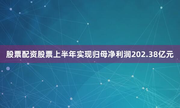 股票配资股票上半年实现归母净利润202.38亿元
