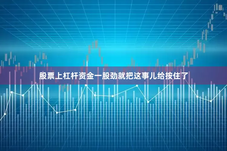 股票上杠杆资金一股劲就把这事儿给按住了