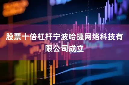 股票十倍杠杆宁波哈捷网络科技有限公司成立