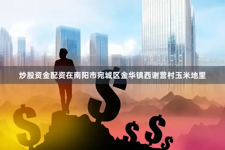 炒股资金配资在南阳市宛城区金华镇西谢营村玉米地里